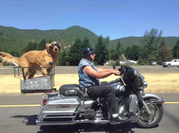 Подборка интересных и веселых картинок №56 Подборка интересных и веселых картинок №56 отдых