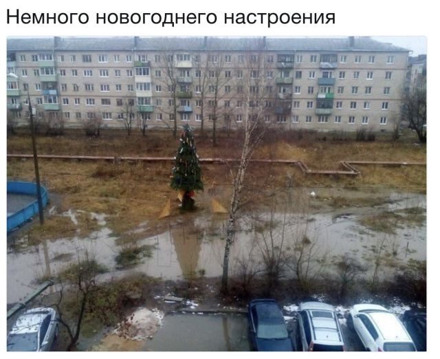 Прикольные картинки и фотки