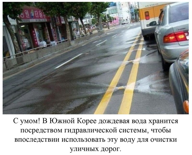 Вы видели всё в жизни? 