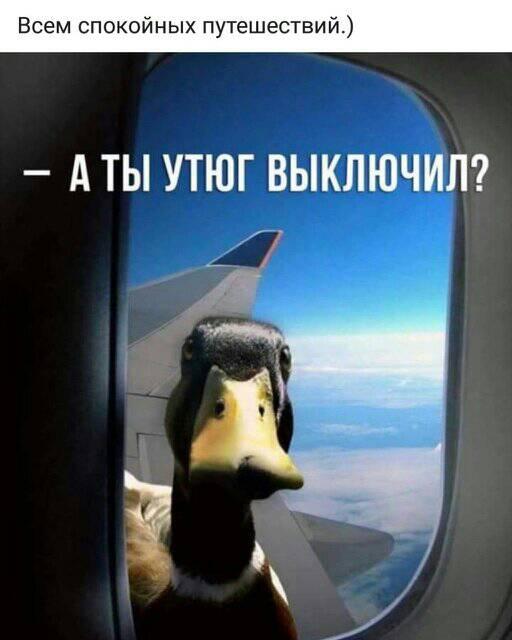 Хам-педант не только пошлет тебя на..., но и 3 раза перепроверит, пошел ли ты... Хам-педант не только пошлет тебя на..., но и 3 раза перепроверит, пошел ли ты... анекдоты,веселые картинки,демотиваторы,юмор