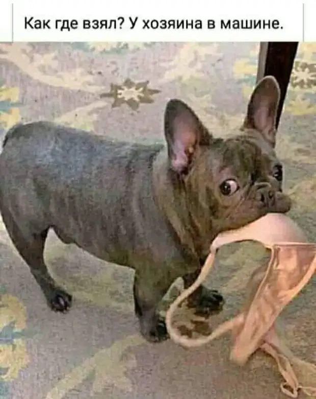 В Иваново во время белого танца затоптали мужчину г,Иваново [588083],Иваново г,о,[95241148],Ивановская обл,[588052]