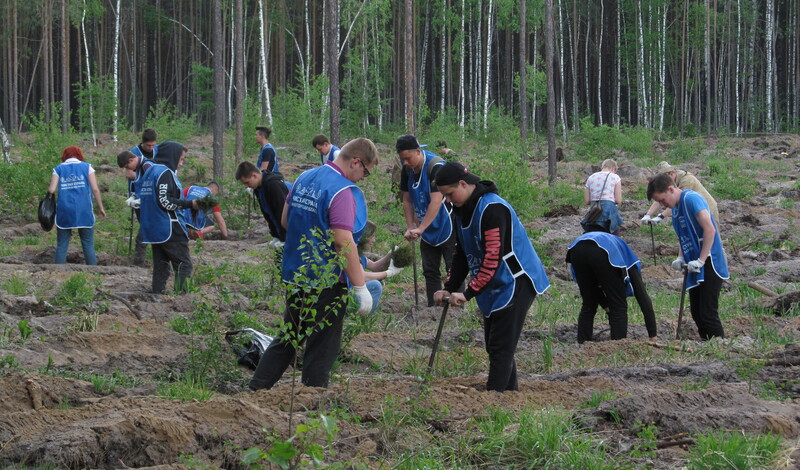 Экологическая охрана городов. Чистый город Единая Россия. Ученые на защите экологии.