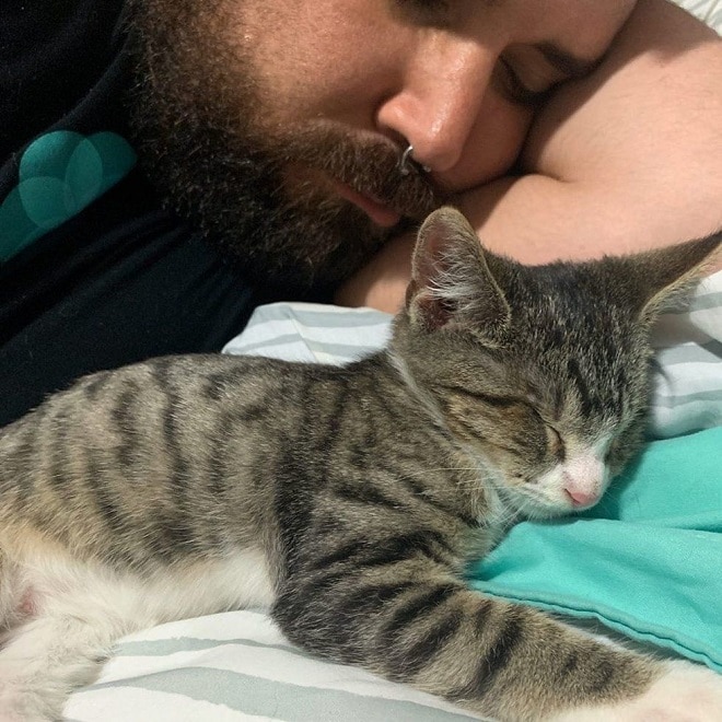 Котенок и мужчина