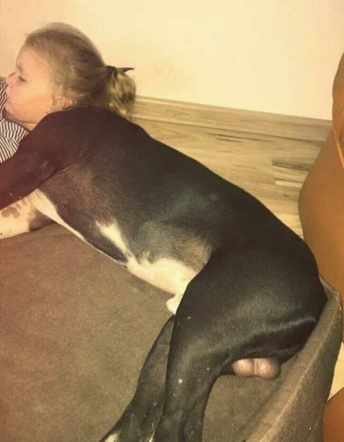 Оказалось, показалось…  смешные картинки