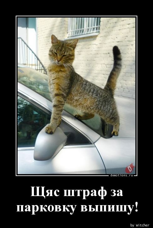 Демотиваторов пост: «Таити…» Демотиваторов пост: «Таити…»