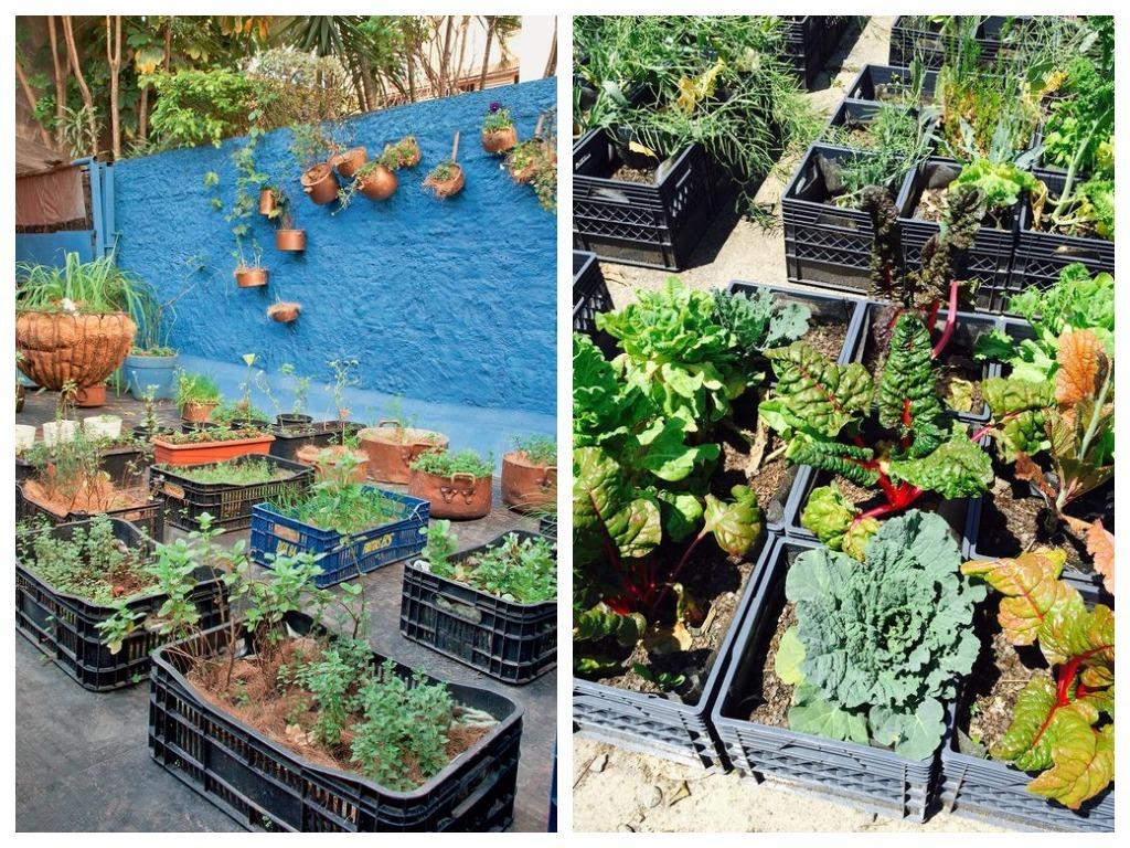9 способов полезного использования пластмассовых ящиков на даче дача,ландшафтный дизайн,поделки,сад и огород,своими руками
