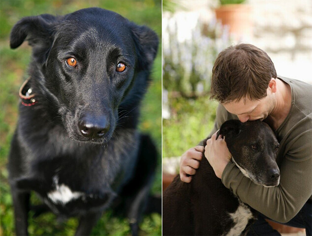 Сегодня я спас Человека...