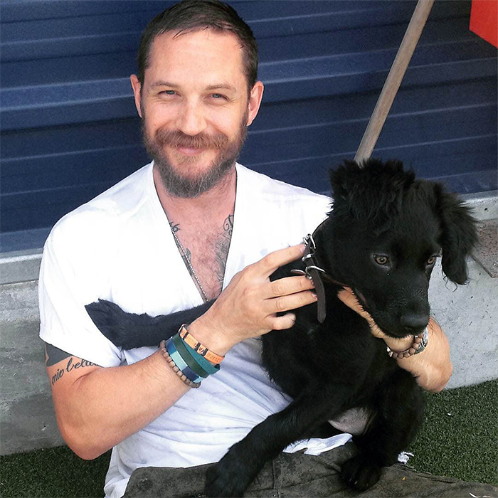 Love-for-dogs-tom-hardy