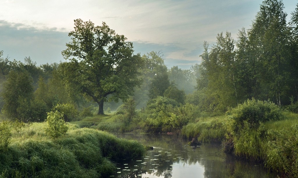 Земля так несравненно хороша! Земля так несравненно хороша! природа