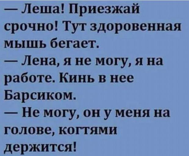 Проснулась утром, лежу, жду когда мама завтрак приготовит... весёлые