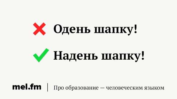 25 самых частых ошибок в русском языке, которые не перестают раздражать грамотность,интересное,русский язык