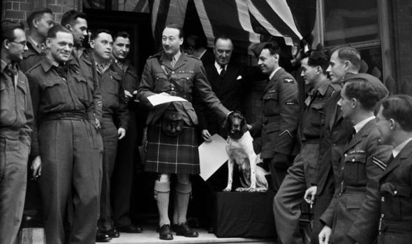 10 знаменитых собак Второй мировой войны вторая мировая война,животные,история,собаки