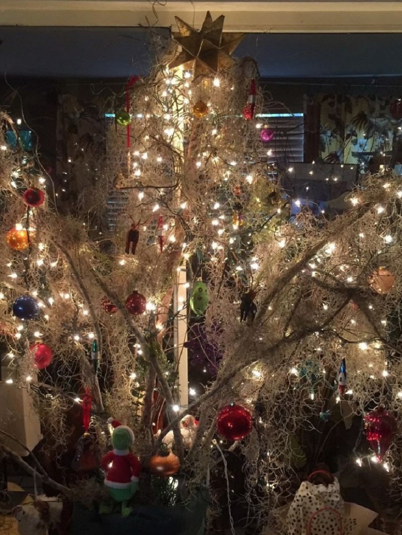Новогодняя елочка. Необычные новогодние елки. Рождественская елка. Новогодняя елка. Украшаем елку.
