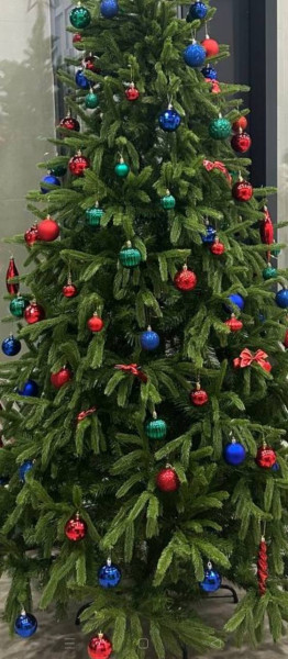 photo_2025-11-30_02-59-26