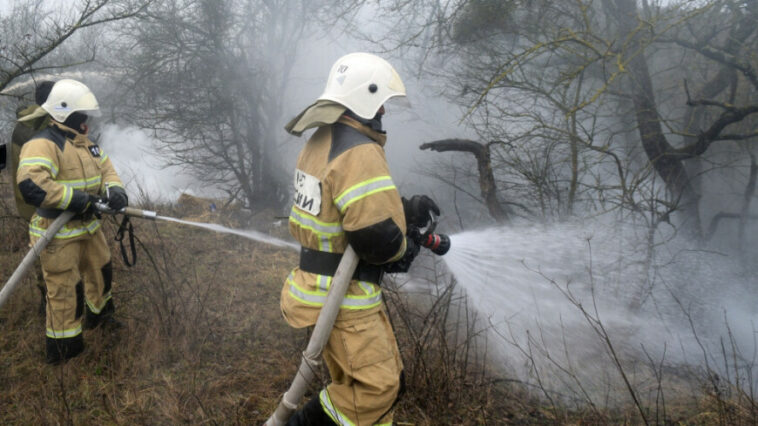 Более 560 природных пожаров потушили в России за неделю