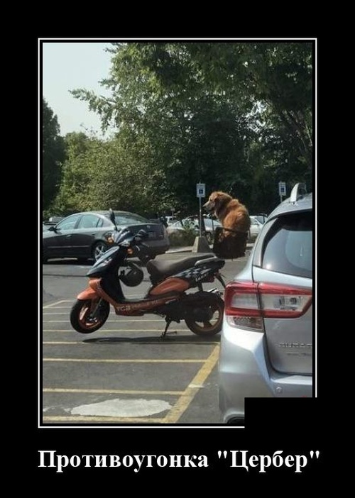 Самые новые демотиваторы Самые новые демотиваторы демотиваторы