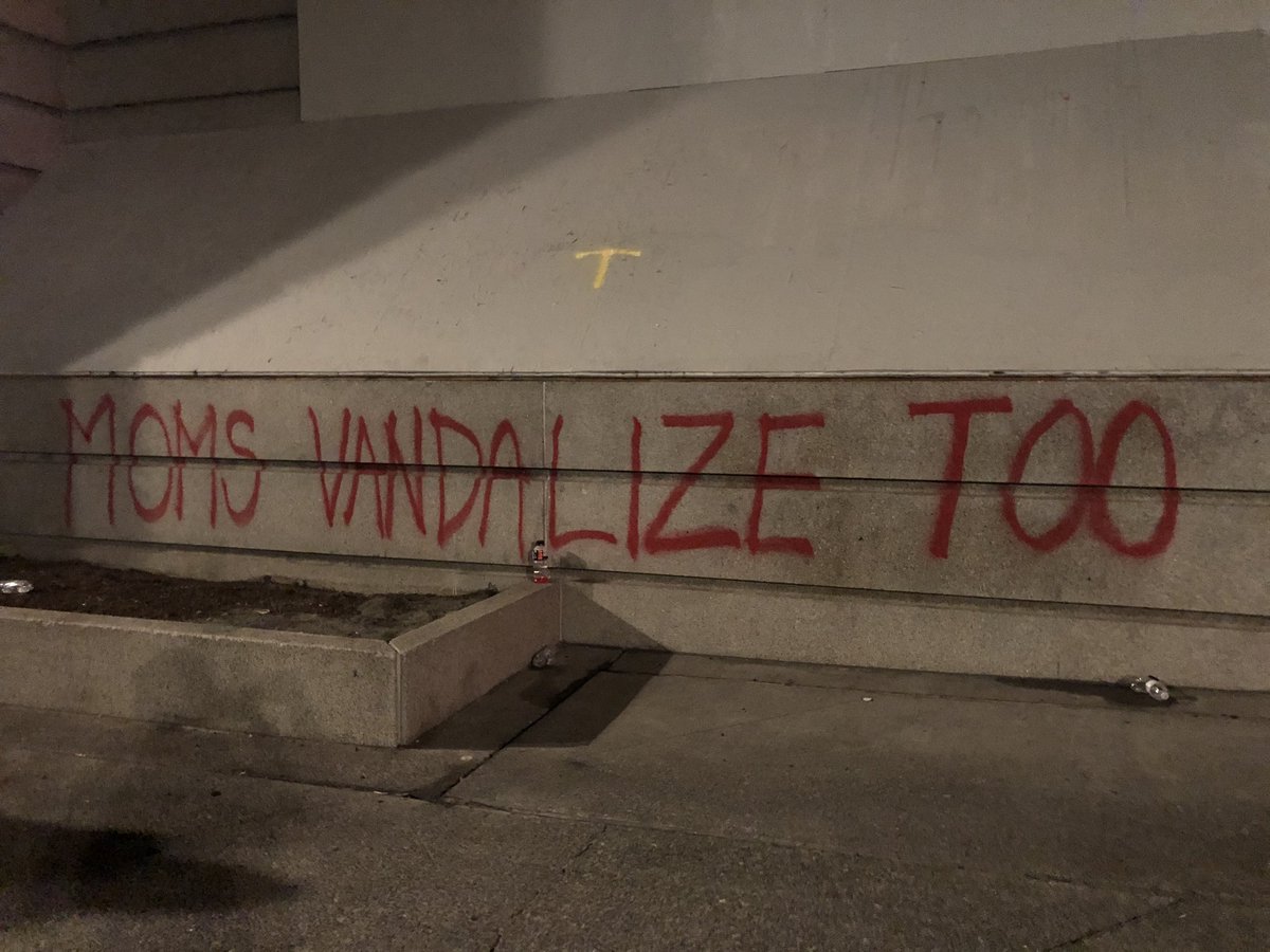 Протесты в Портленде 23-24 июля Протесты в Портленде 23-24 июля