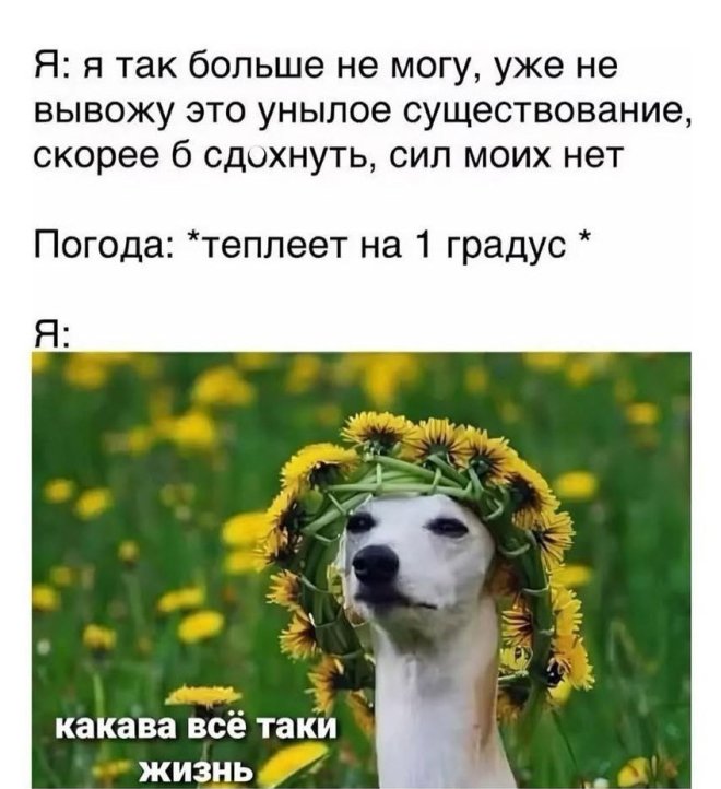 Прикольные картинки с надписями и iPhone 17 Прикольные картинки с надписями и iPhone 17