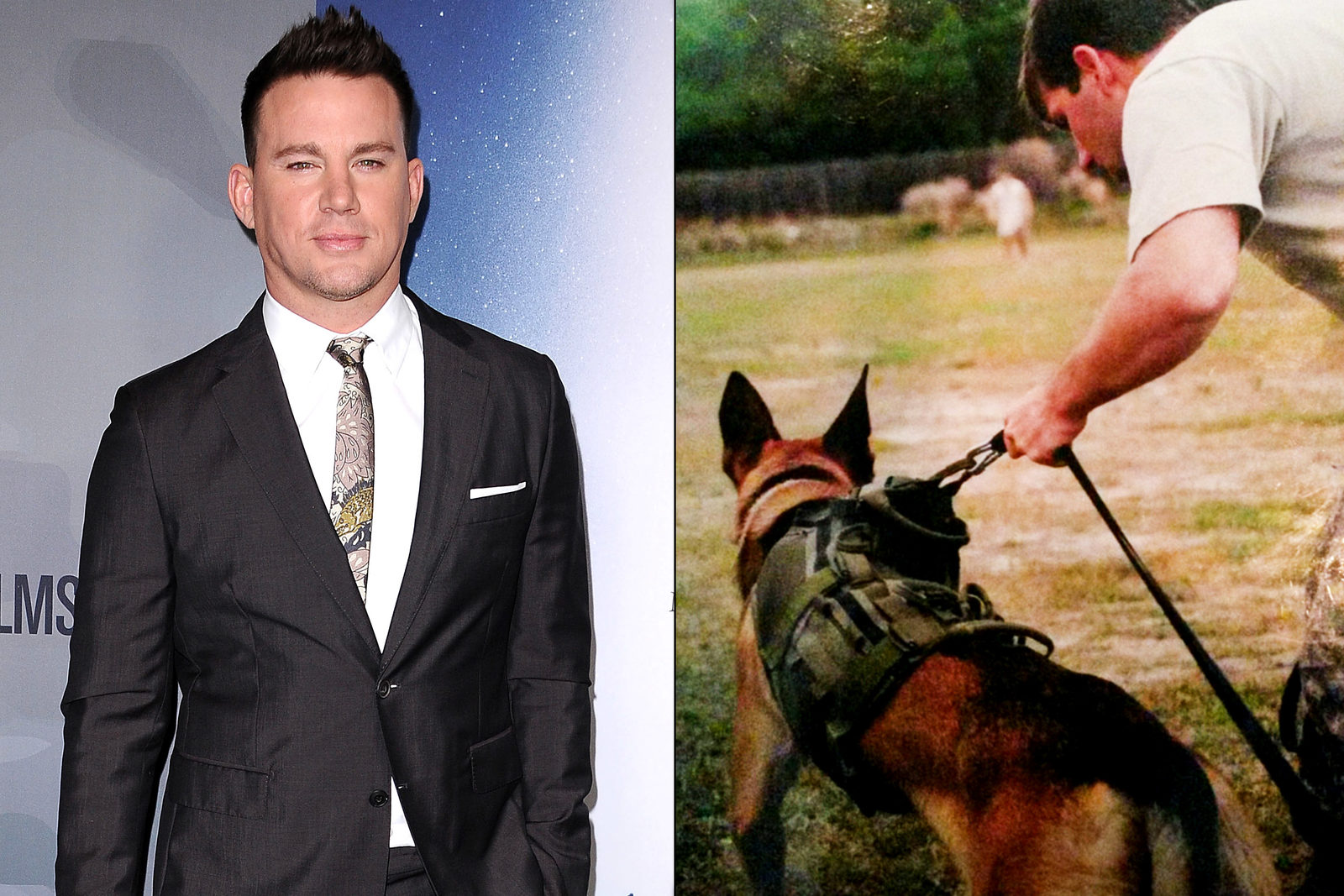 Ченнинг и собака. Ченнинг и собака. Ченнинг татум и его собака лулу. Ченнинг татум с собакой. Ченнинг и собака.