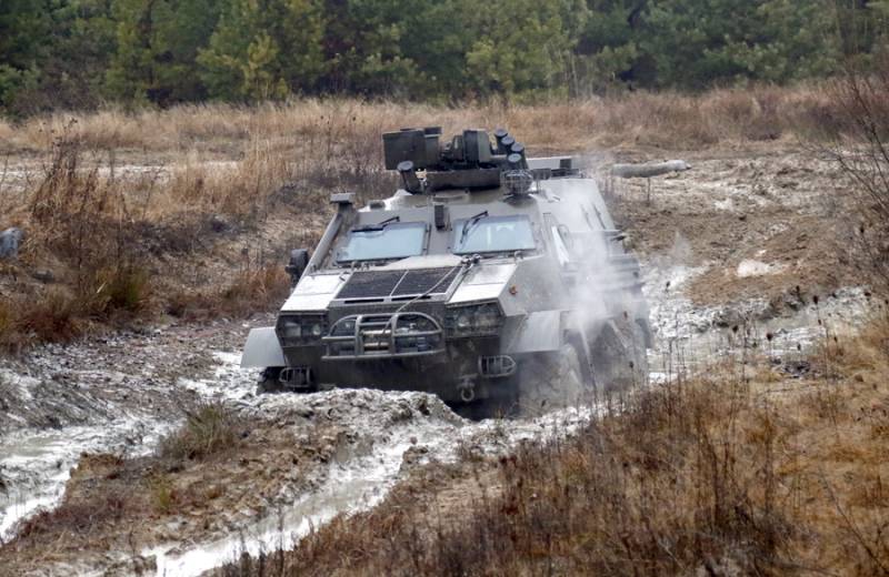 Коммерческие успехи и перспективы броневиков Mista Oncilla Коммерческие успехи и перспективы броневиков Mista Oncilla оружие