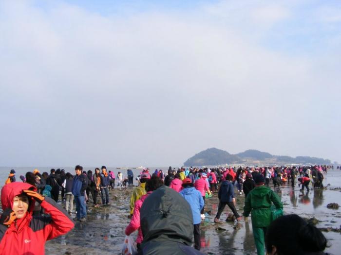 Грандиозный отлив на архипелаге Чиньдо (8 фото)