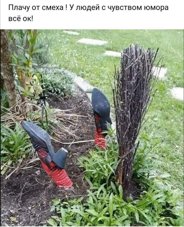 Юмор из интернета 638 Юмор из интернета 638 позитив,смех,улыбки,юмор