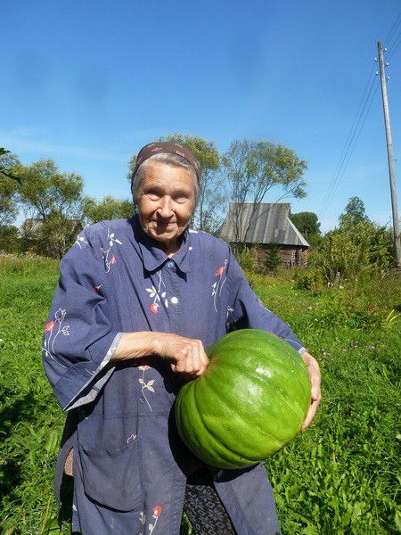 Москва, деревня, фоторепортаж, Россия