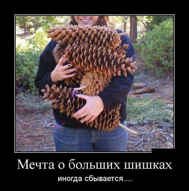 Подборка веселых демотиваторов на понедельник (12 фото)