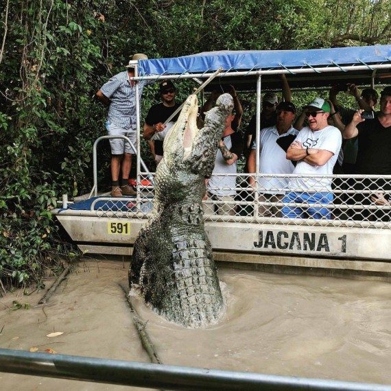 Прикольная подборка