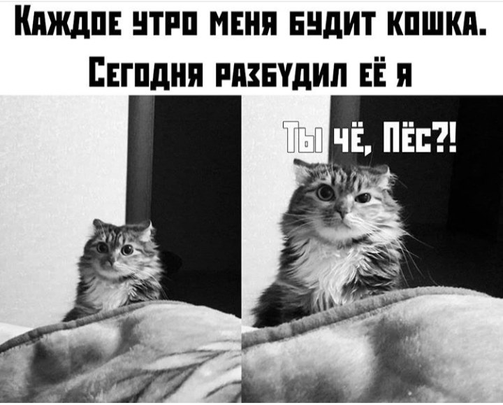 Мужик загорает на нудистском пляже.. анекдоты,веселье,демотиваторы,приколы,смех,юмор