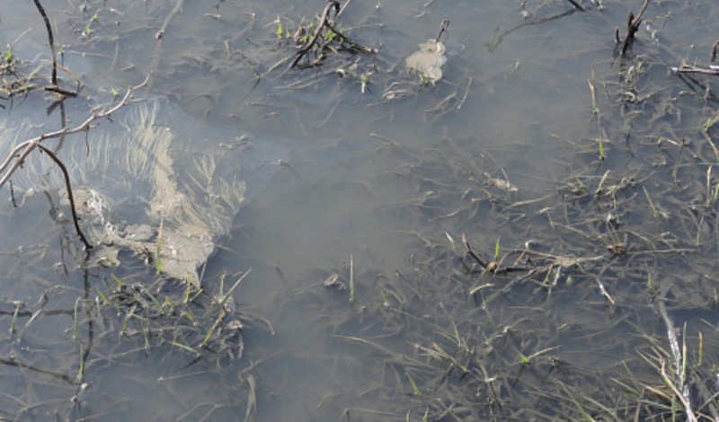 В Ростовской области водоканал оштрафовали на 5 миллионов рублей за загрязнение почвы