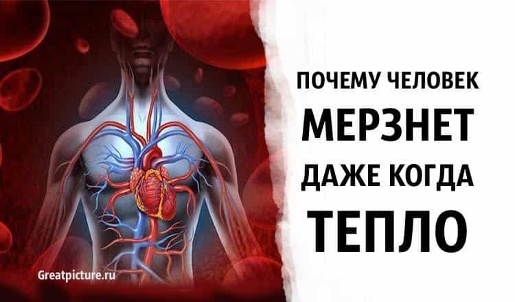 ÐŸÐ¾Ñ‡ÐÐ¼Ñƒ Ñ‡ÐÐÐ¾Ð²ÐÐº Ð¼ÐÑ€ÐÐ½ÐÑ‚ Ð´ÐÐÐ ÐºÐ¾Ð³Ð´Ð Ñ‚ÐÐ¿ÐÐ¾: 9 Ð¿Ñ€Ð¸Ñ‡Ð¸Ð½
