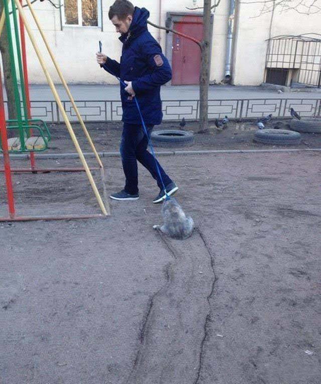 Всё вокруг мое, родное: картинки современной российской жизни люди, прикол, россия, юмор