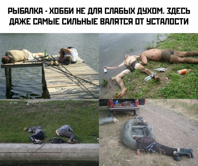 Подборка прикольных картинок Подборка прикольных картинок смешные картинки