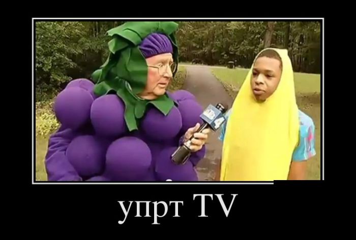 Порция демотиваторов на любой вкус 