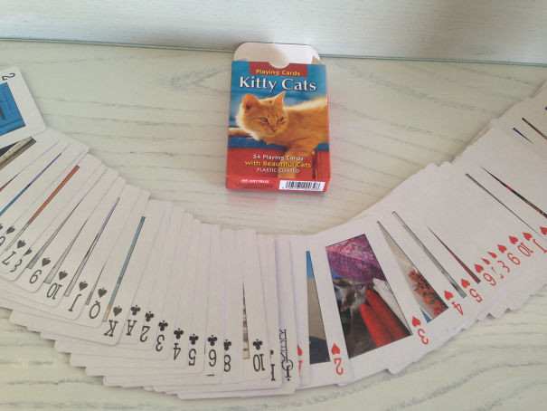 Карты с котиками алкоголь, опьянение, покупка