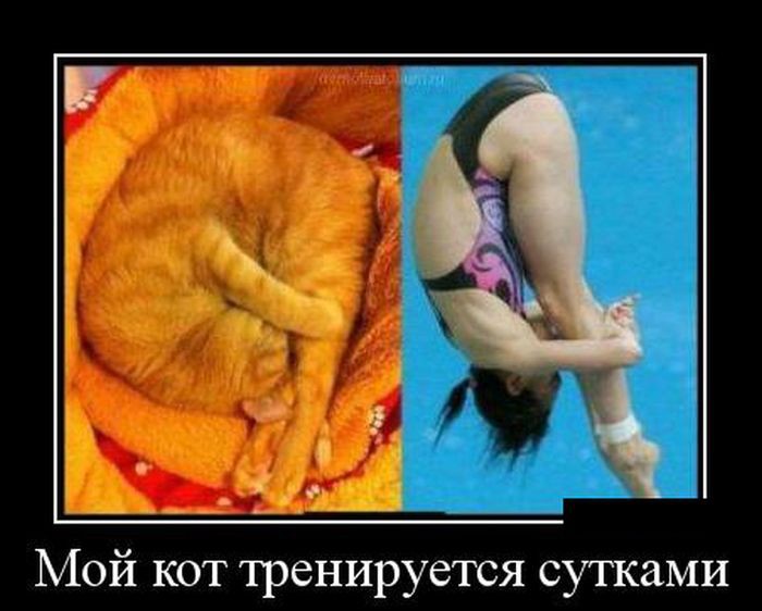 Классные демотиваторы из  нашей жизни