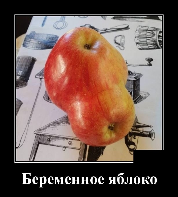 Демотиваторы субботы 18 мая Демотиваторы субботы 18 мая