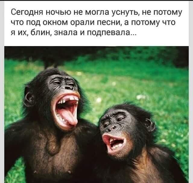 — С моим мужем совершенно невозможно жить!... через, месяца, совпадение, блокнот, месяц, пожалуйста, дороге, мужик, феврале, диплом, теперь, записывает, говорит, такой, начальника, Весна, пришла, между, послеПриходит, интеллигент