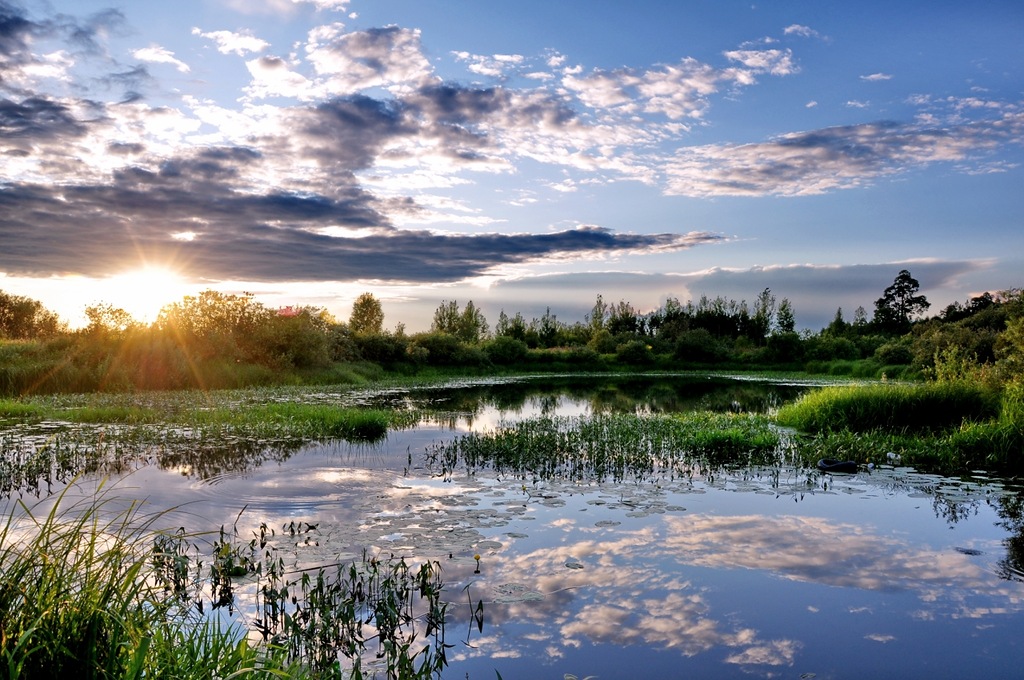 Земля так несравненно хороша! Земля так несравненно хороша! природа