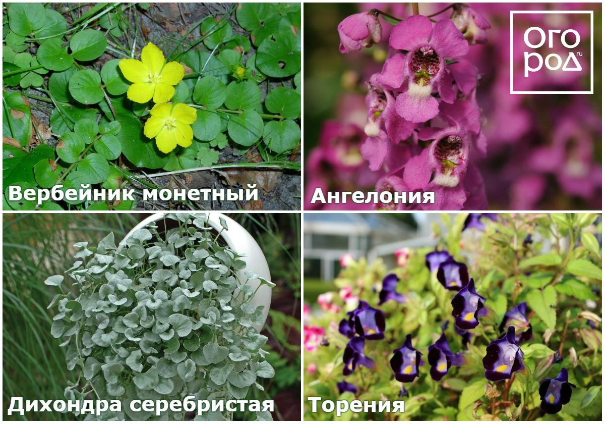 подвесное кашпо своими руками