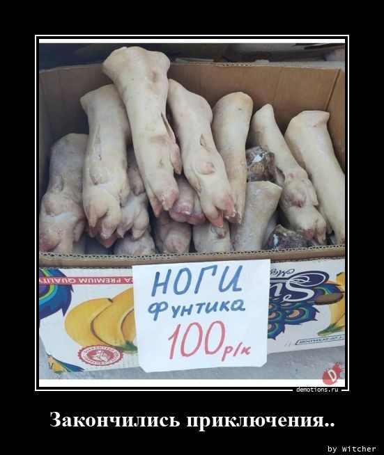 Демотиваторы – приколы: «Я же говорил…» Демотиваторы – приколы: «Я же говорил…»