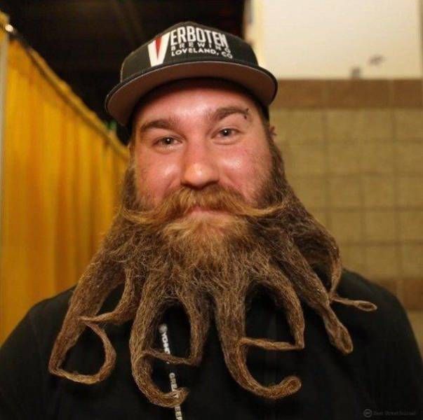 Классные и прикольные фотографии для хорошего настроения и улыбки 