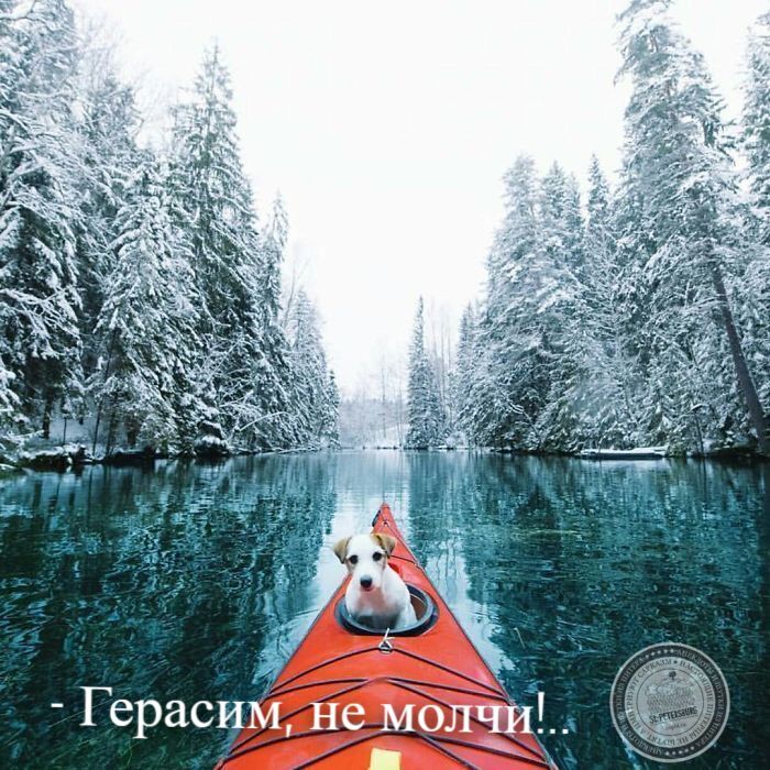 Не молчи