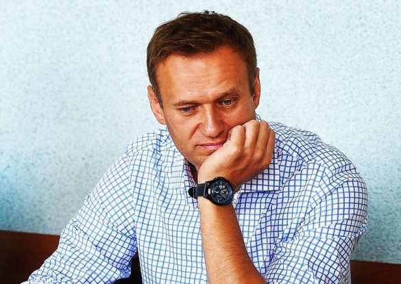 Суд приговорил Навального за оскорбление ветерана — теперь ему грозит новое дело за оскорбление судьи (ВИДЕО) | Русская весна
