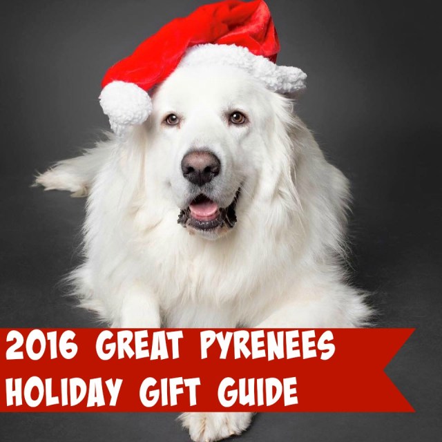 Struggling with what to get your Great Pyrenees for Christmas? Here are 10 fluffy favorites!