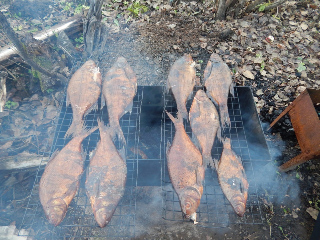 Мой рецепт копченой рыбы копчение, отдых, рыба