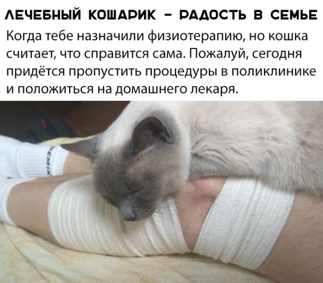 Совсем немного весёлых картинок 