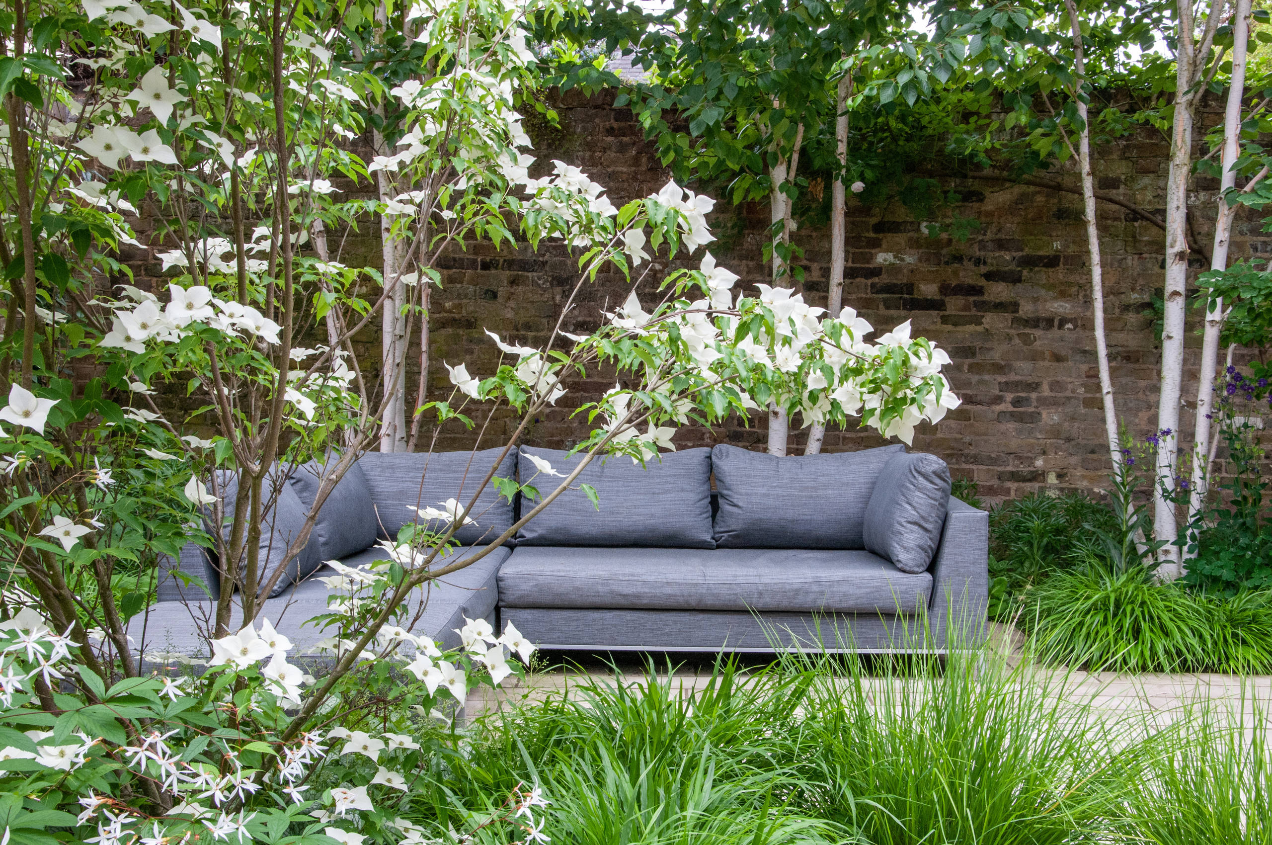 Сад недели: Палисадник перед домом в Лондоне ландшафтный дизайн,садоводство