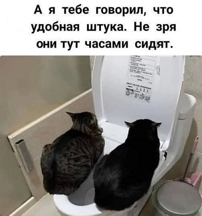 Прикиньте!...Сейчас раздеваюсь....а у меня пёрышко вылетело откуда-то...не усну теперь...Такое мучение....Ангел я...или всё таки КУРИЦА?! Прикиньте!...Сейчас раздеваюсь....а у меня пёрышко вылетело откуда-то...не усну теперь...Такое мучение....Ангел я...или всё таки КУРИЦА?! говорит, нефть, можно, через, слишком, делать, детей, вкусом, время, своим, нужно, чтобы, может, камере, женщины, будет, больше, Начинаем, дорогой, Сегодня